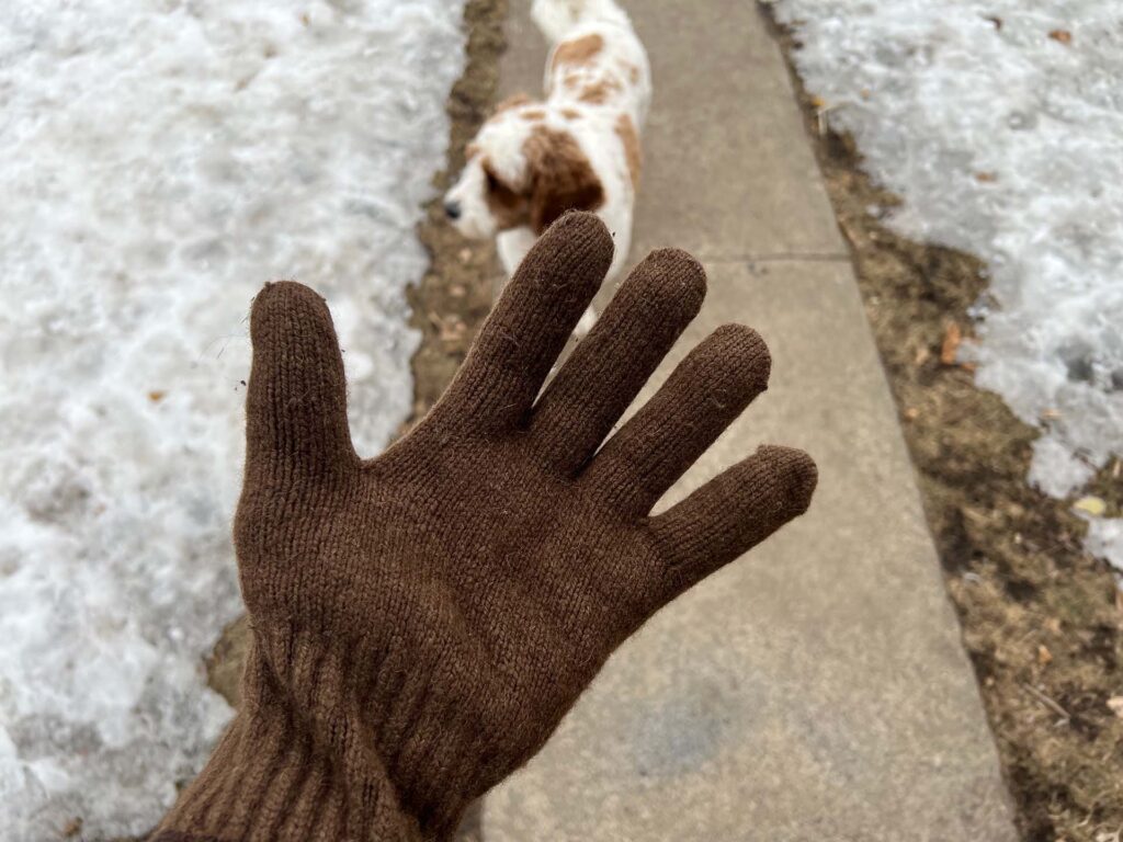 bison-wool-gloves