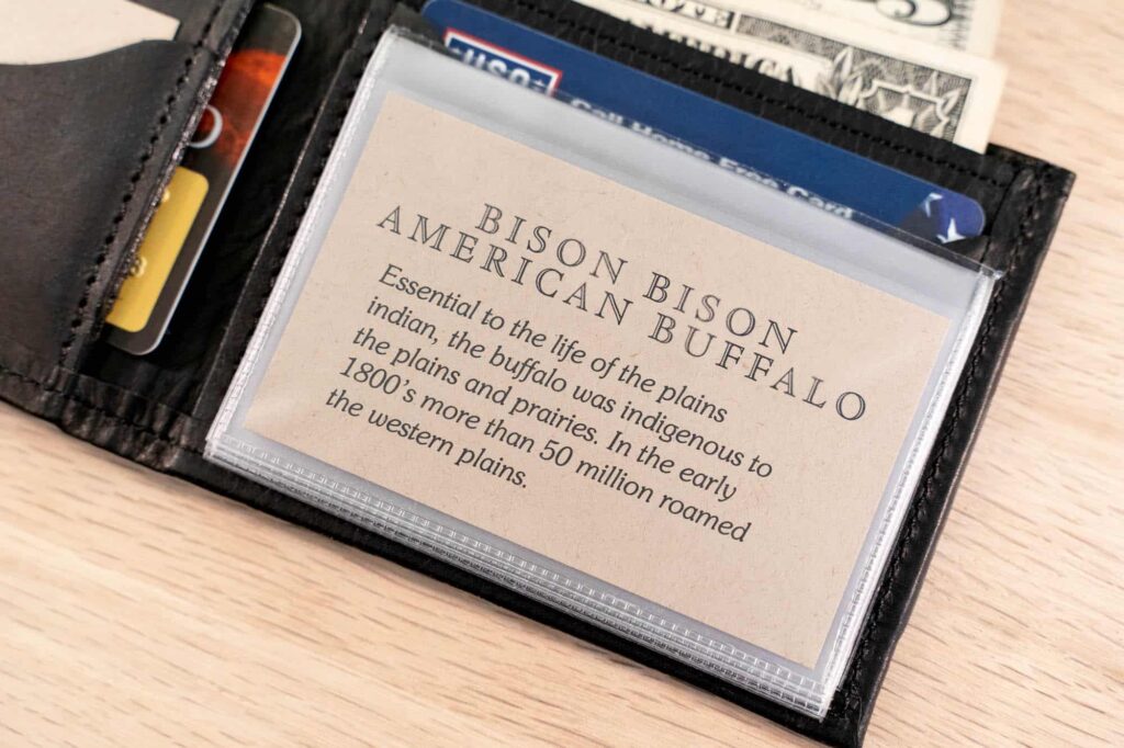 Vinyl Insert For Credit Cards, Photos, Business Cards, Drivers License, Id'S And More. Vinyl Insert For Credit Cards, Photos, Business Cards, Drivers License, Id'S And More.