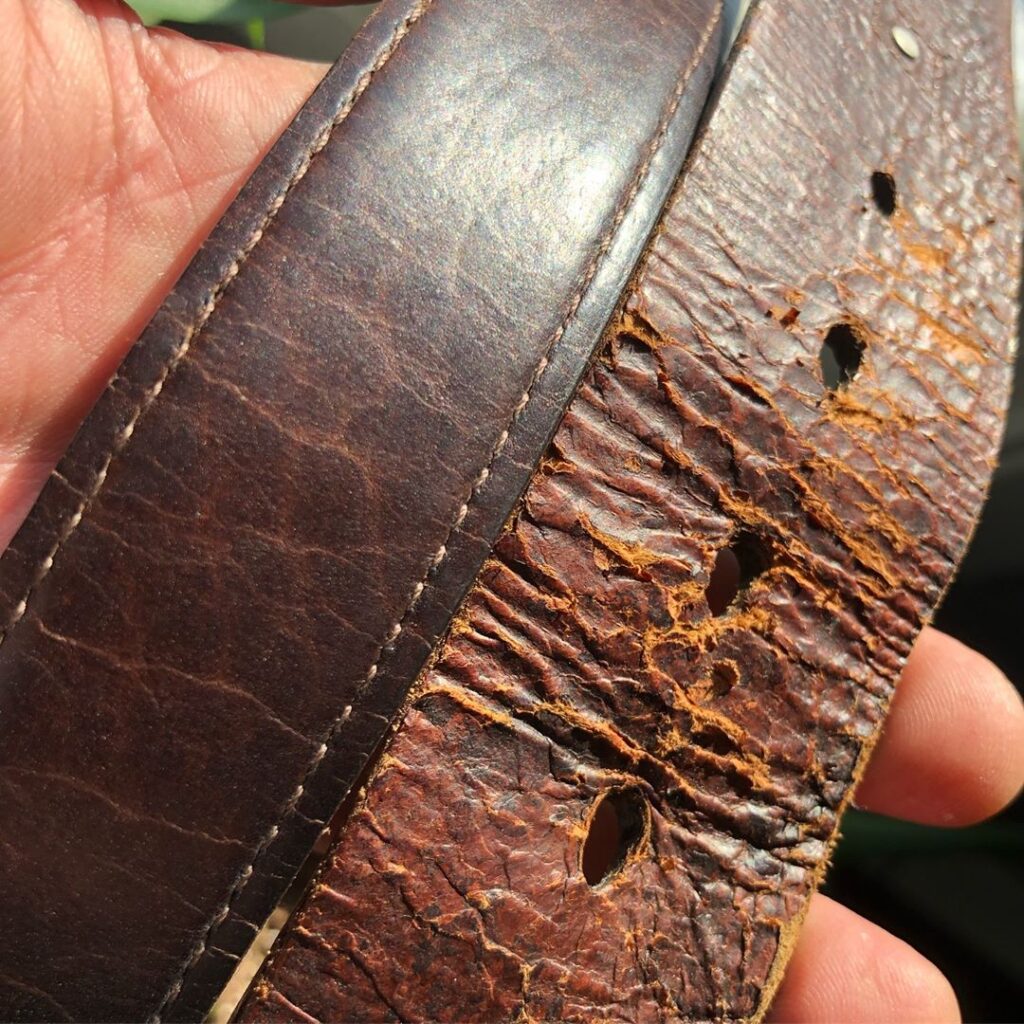 Buffalo Billfold Company Full Grain Leather Bison Belt Worn For 15 Years, Compared To A 2 Year Old Fossil Top Grain Leather Belt