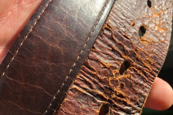 Buffalo Billfold Company Full Grain Leather Bison Belt Worn For 15 Years, Compared To A 2 Year Old Fossil Top Grain Leather Belt Buffalo Billfold Company Full Grain Leather Bison Belt Worn For 15 Years, Compared To A 2 Year Old Fossil Top Grain Leather Belt