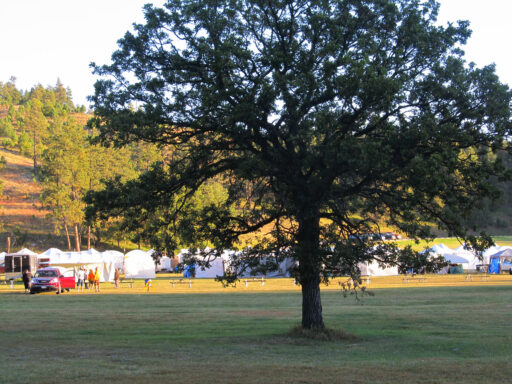 Custer State Park - Art Festival Custer State Park - Art Festival